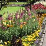 Fallas Landscape raised flower beds