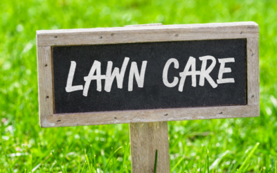 Spring Lawn Care