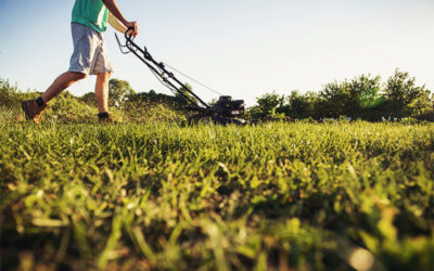 Lawn Mowing: What Time of Day is the Best for Mowing?