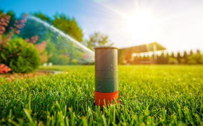 Lawn Maintenance: Tips for Properly Watering Your Yard